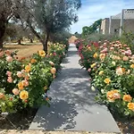Zeituna Casa Carolea Nyaraló
