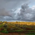 Zeituna Casa Carolea Nyaraló *