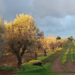 Nyaraló Zeituna Casa Carolea Nardò