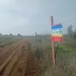 Zeituna Casa Carolea *