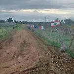Zeituna Casa Carolea Nyaraló