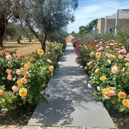 Zeituna Casa Carolea Casa de Férias