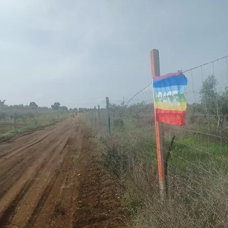 Zeituna Casa Carolea *