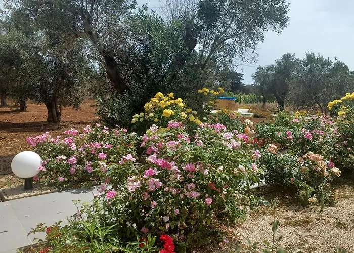 Casa vacanze Zeituna Casa Carolea Nardò