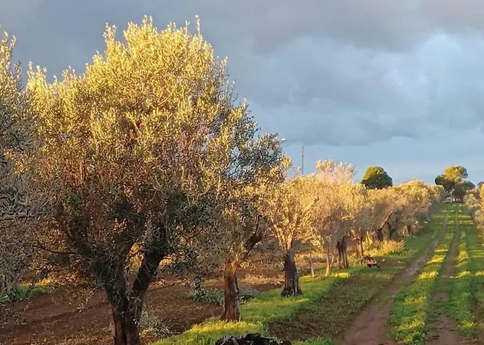 Holiday home Zeituna Casa Carolea Nardo