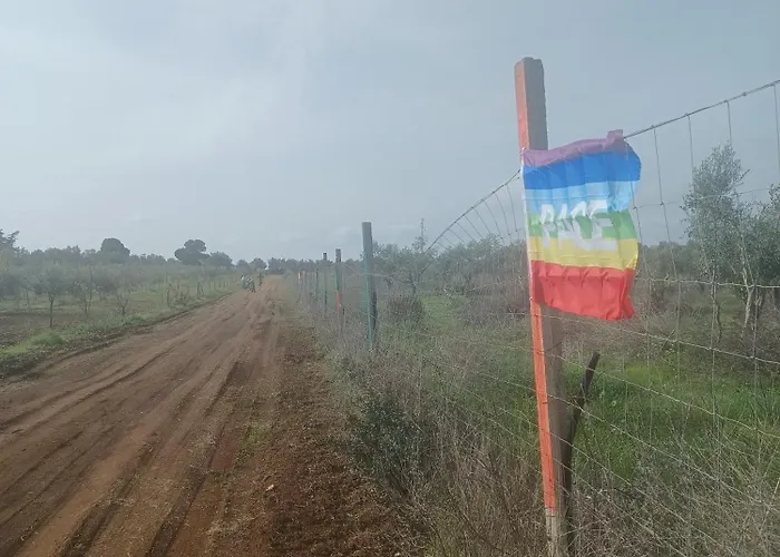 Zeituna Casa Carolea *